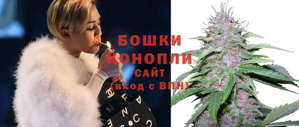 ГАЛЛЮЦИНОГЕННЫЕ ГРИБЫ Дмитров