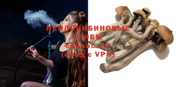 ГАЛЛЮЦИНОГЕННЫЕ ГРИБЫ Дмитров