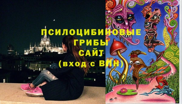 ECSTASY Дмитриев