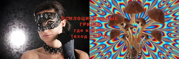 таблы Дмитровск